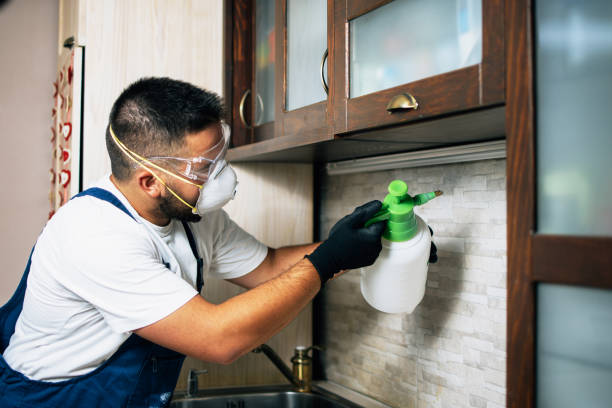 Best Cockroach Control Services  in Hilmar Irwin, CA