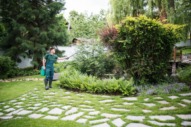 Best Bird Control  in Hilmar Irwin, CA