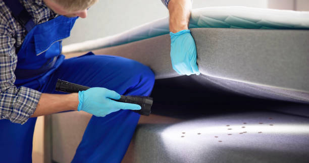 Best Flea Control Services  in Hilmar Irwin, CA